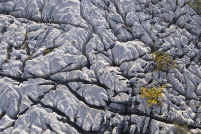 Lapiaz - détail - Parmelan (vue aérienne)